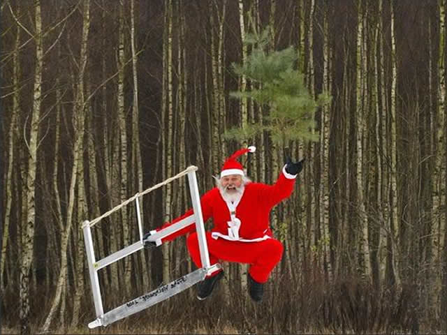 Ein lustiges Foto mit dem Weihnachtsmann, der einen Weihnachtsbaum fällt und vor Freude springt